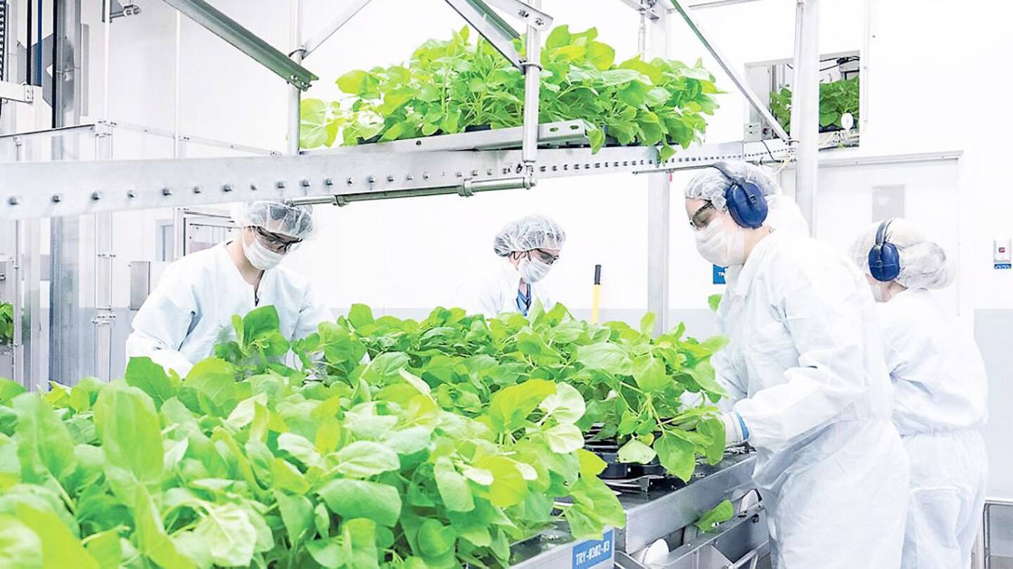 Fermeture de Medicago : Québec cherche un repreneur Fermeture de Medicago : Québec cherche un repreneur