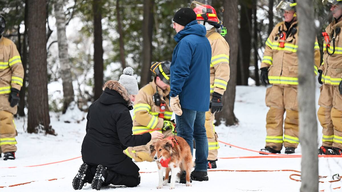 Logo De Sam Le Pompier