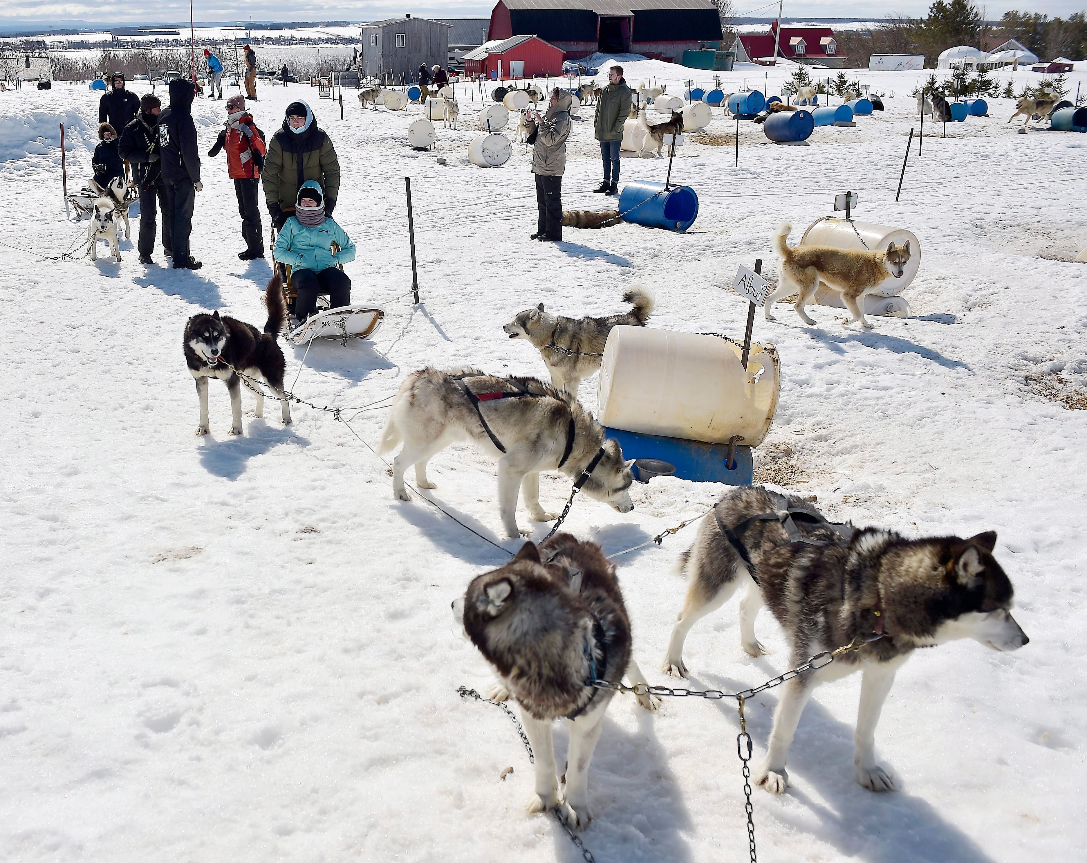 Un chenil controvers&eacute; ferme