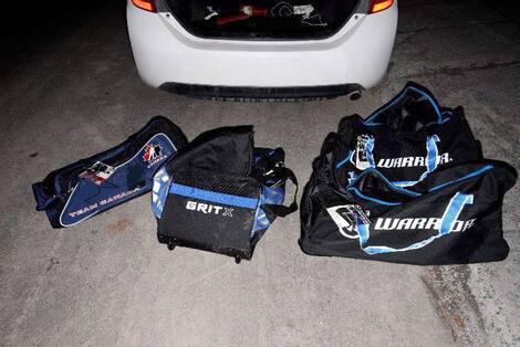 Seizure of cocaine Tudor Tonsiu and a partner have bought hockey bags for drug trafficking.