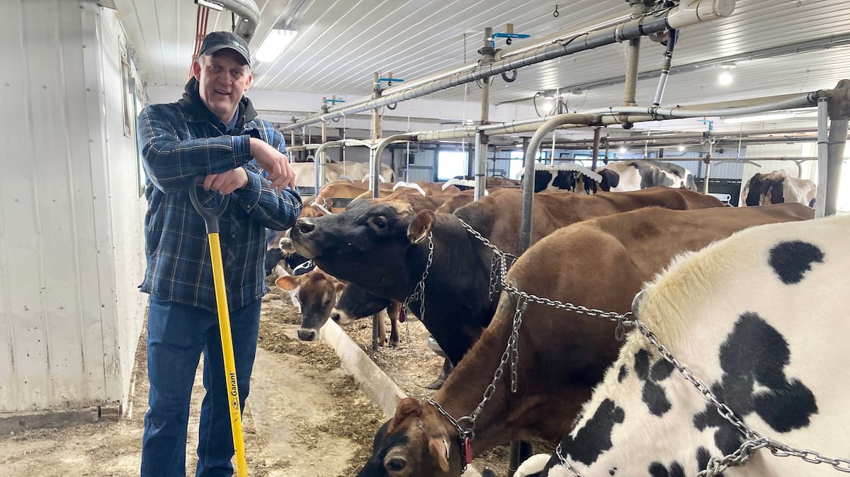 Oui, l’odeur nauséabonde de fumier sera plus forte cette année
