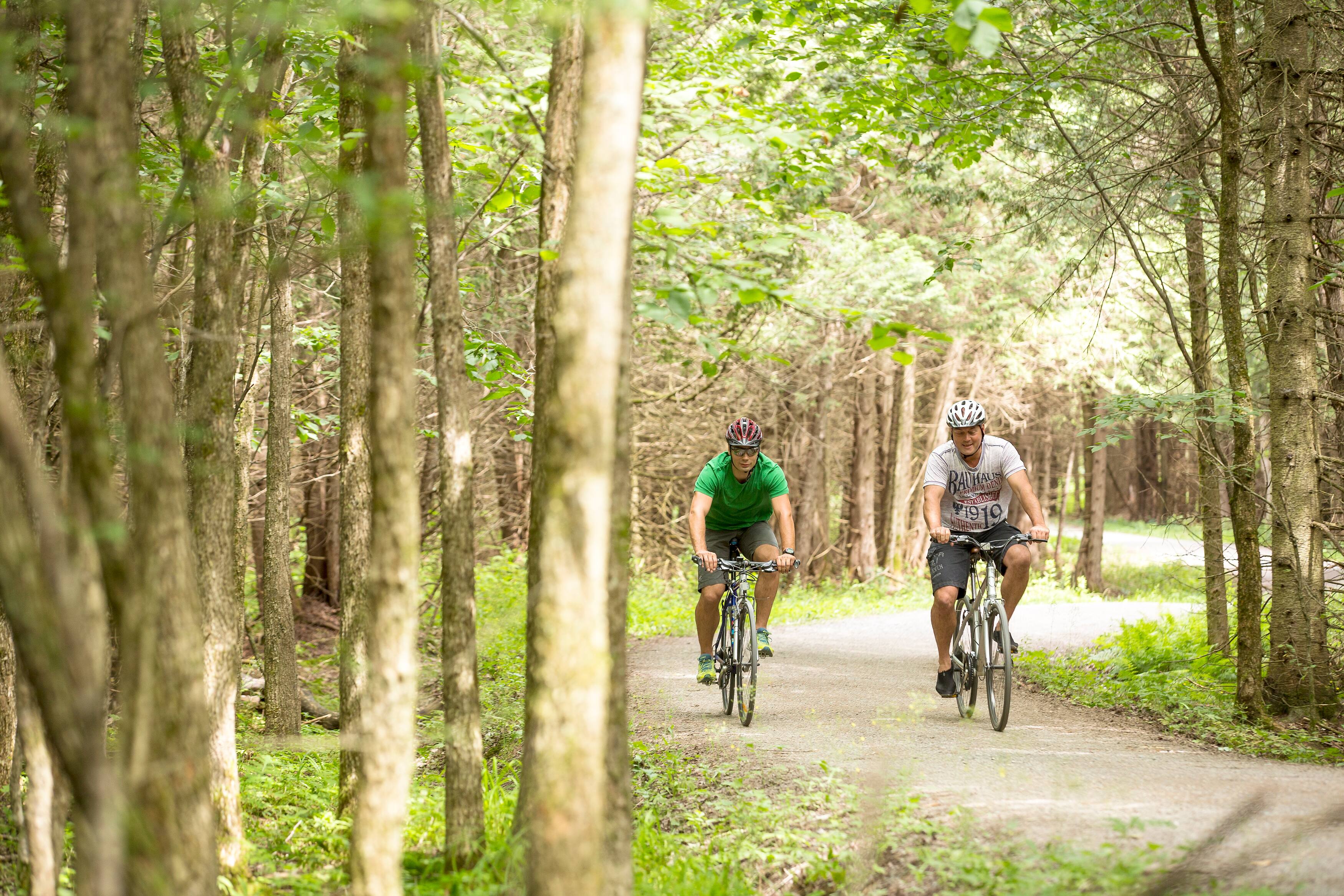 L&rsquo;improbable parc national de la Yamaska
LE PARC NATIONAL DE LA YAMASKA