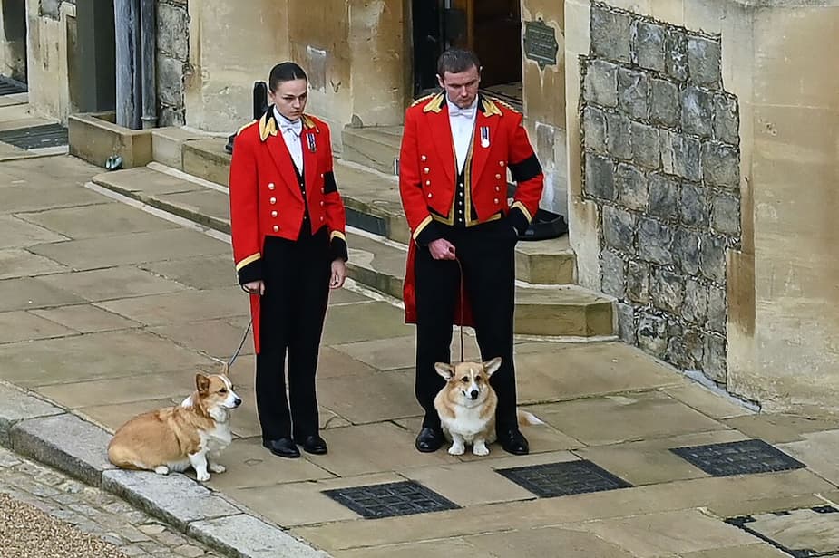 Image principale de l'article Ses corgis et un poney participent aux funérailles
