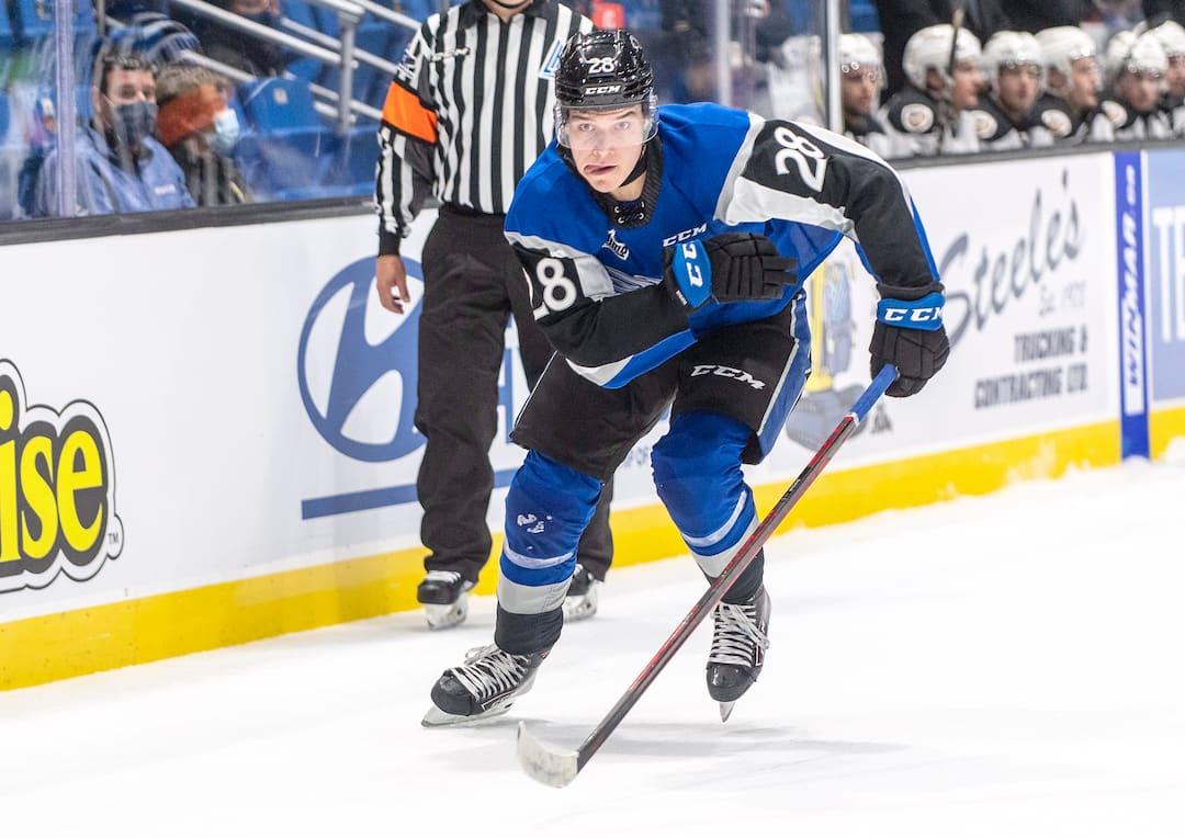 L'attaquant des Sea Dogs de Saint-Jean William Dufour. Courtoisi
