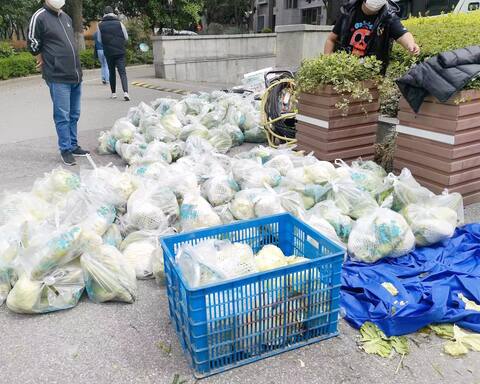 Devlet tarafından sağlanan sebzeler.
