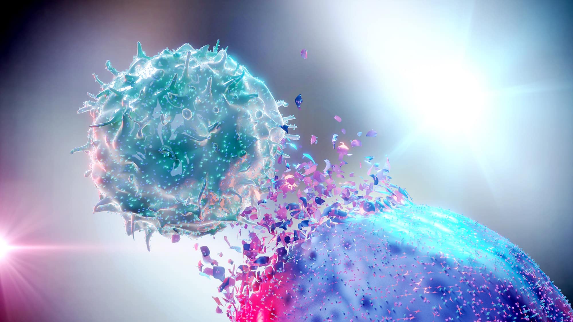 Des cellules tueuses qui pr&eacute;viennent les m&eacute;tastases