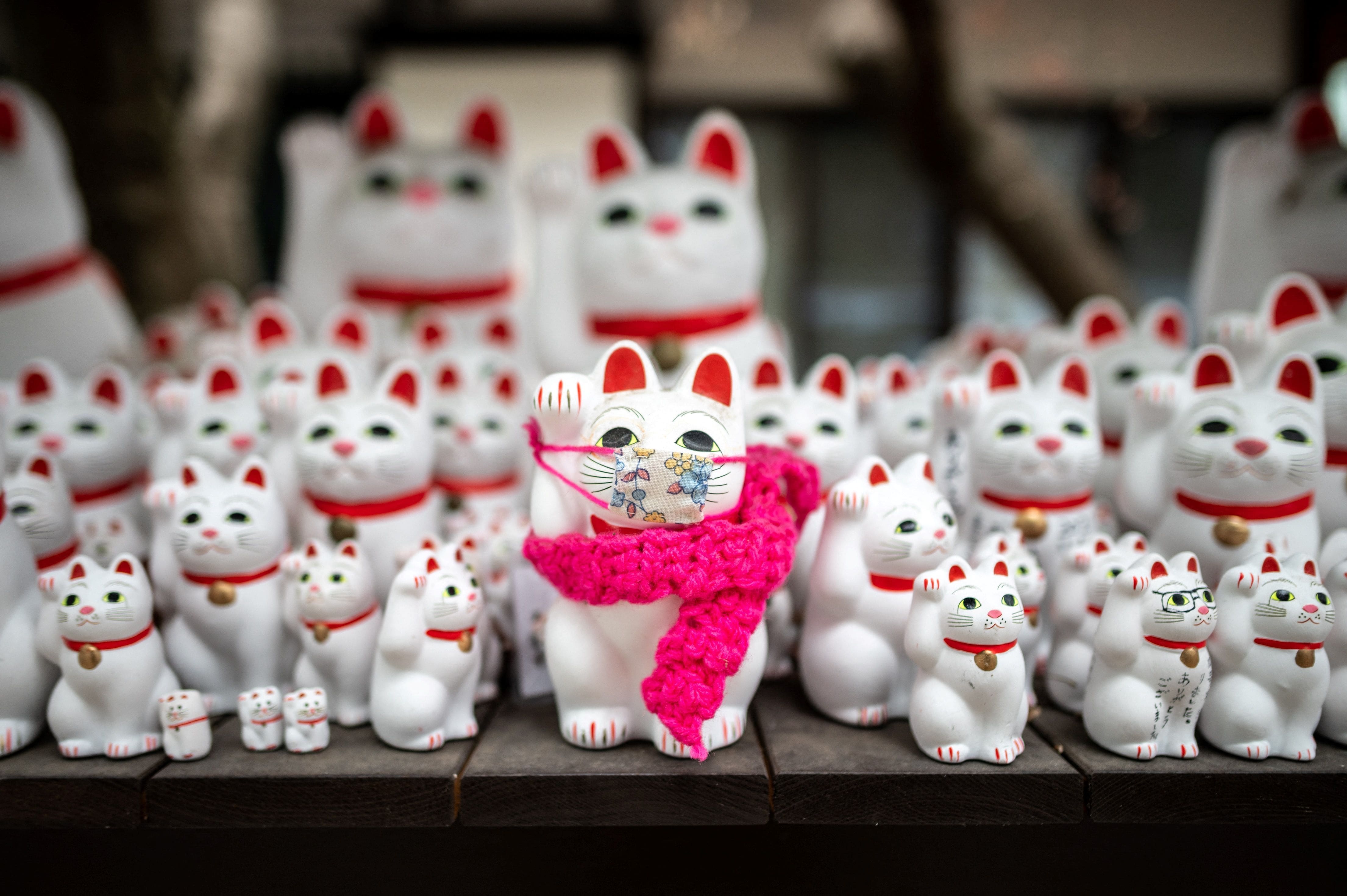 EN DIRECT | Les derniers d&eacute;veloppements sur le coronavirus