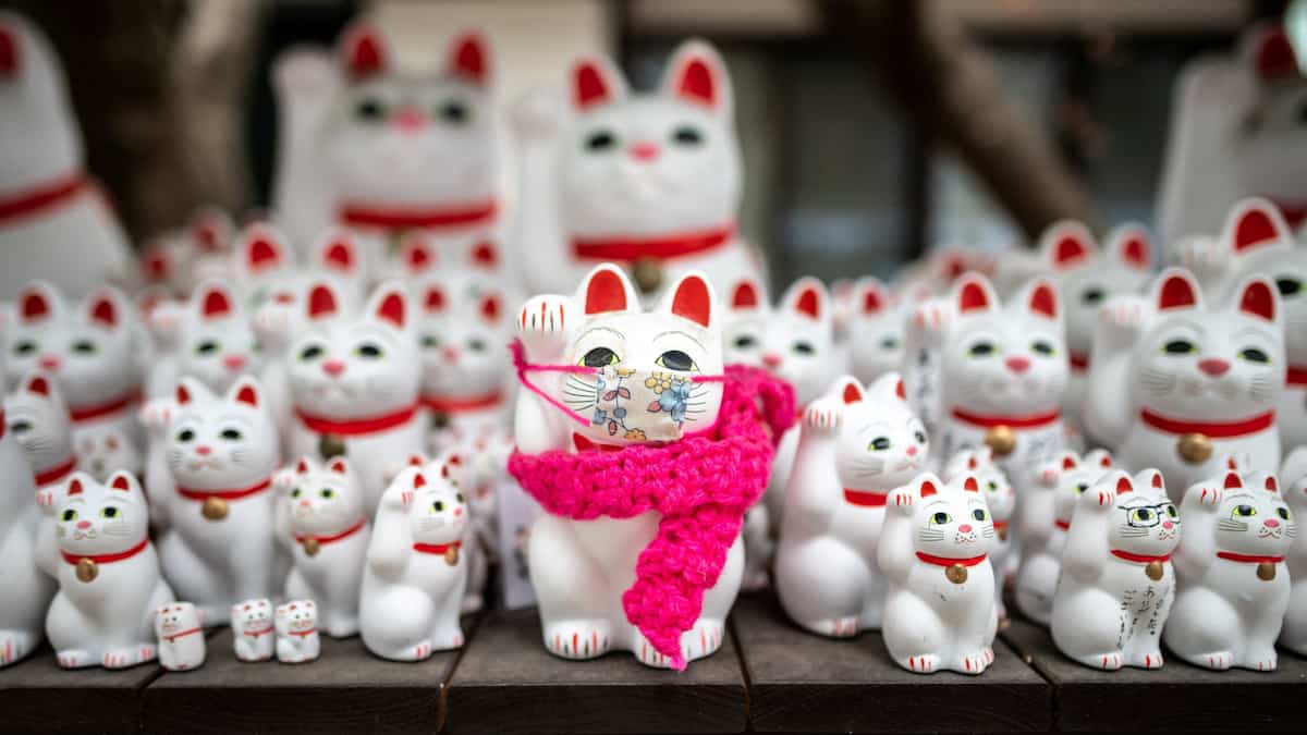 EN DIRECT | Les derniers développements sur le coronavirus