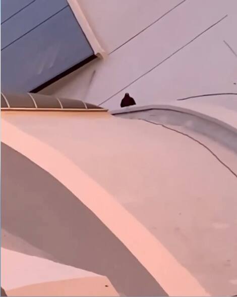 Bordel - Metro Metro Festival Bordel - Metro Metro Festival