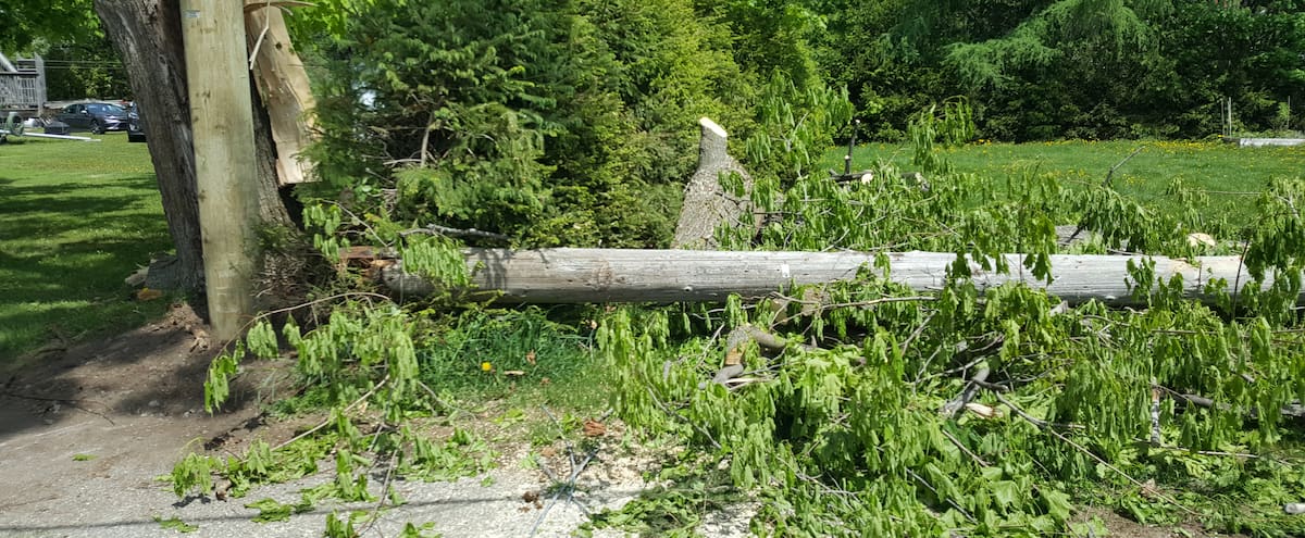 Tre giorni senza elettricità a Cap Sante Tre giorni senza elettricità a Cap Sante