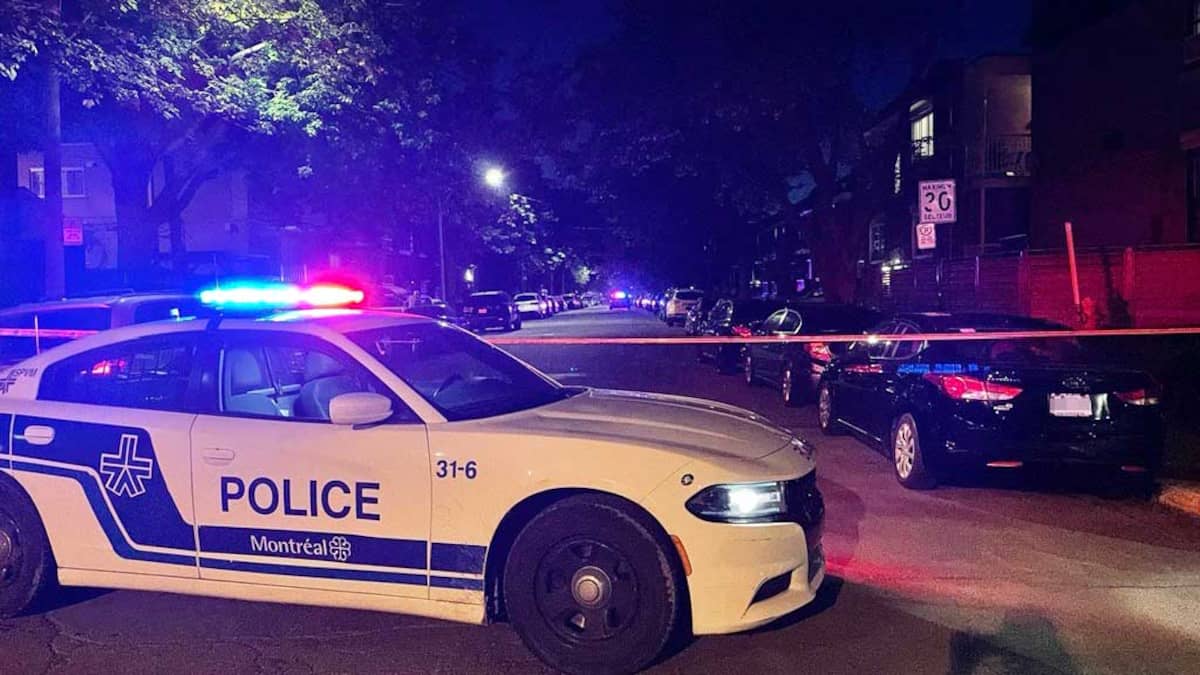 Hausse des conflits, été et fin de pandémie