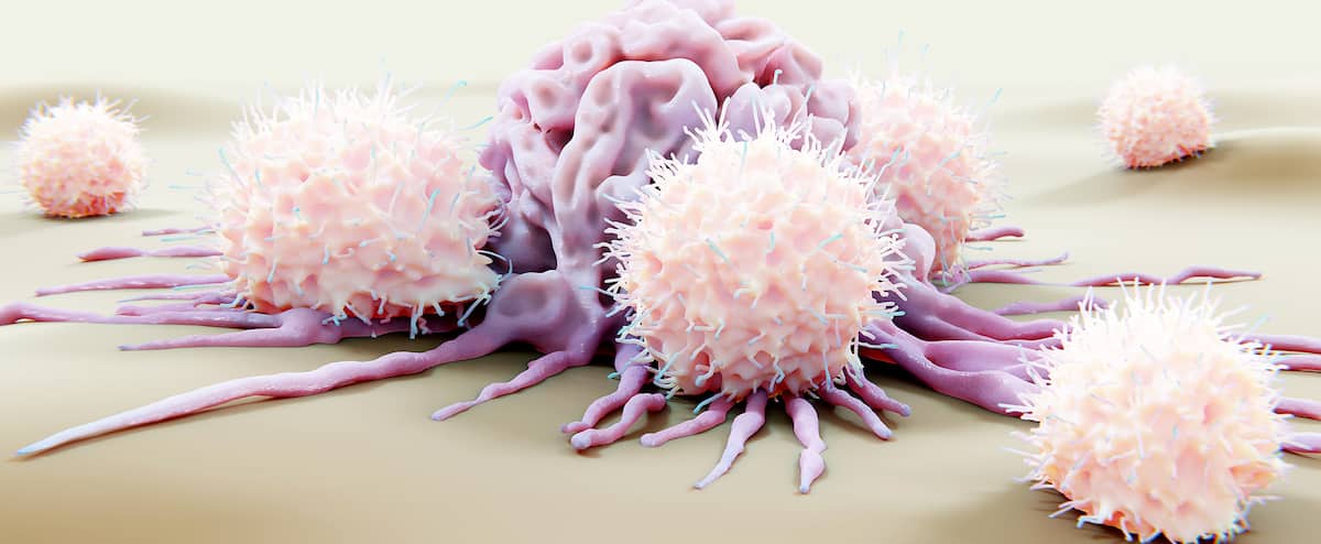 Des bactéries contre le cancer du sein