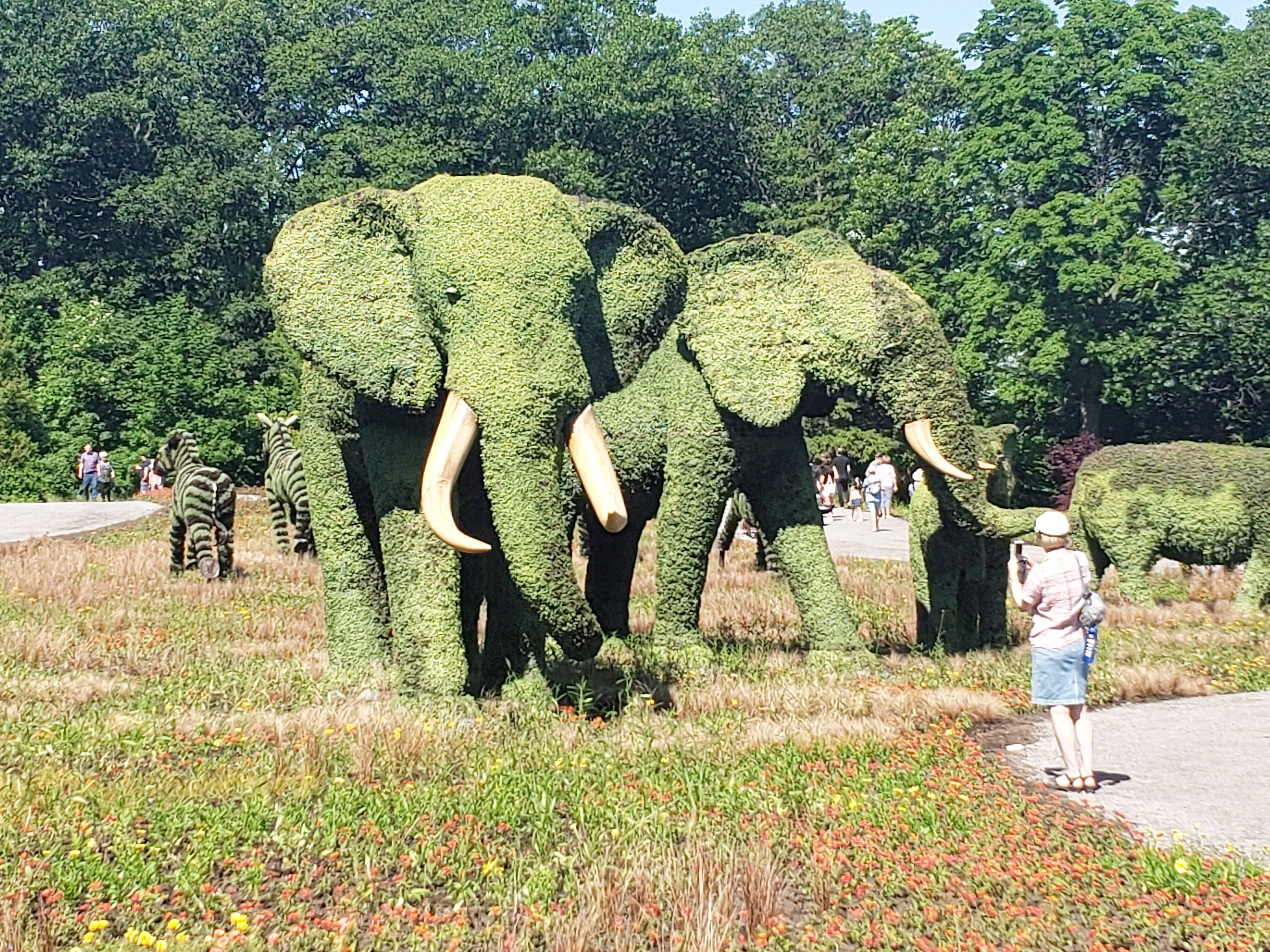 The largest presentation of mosaiculture in the world opens in Quebec