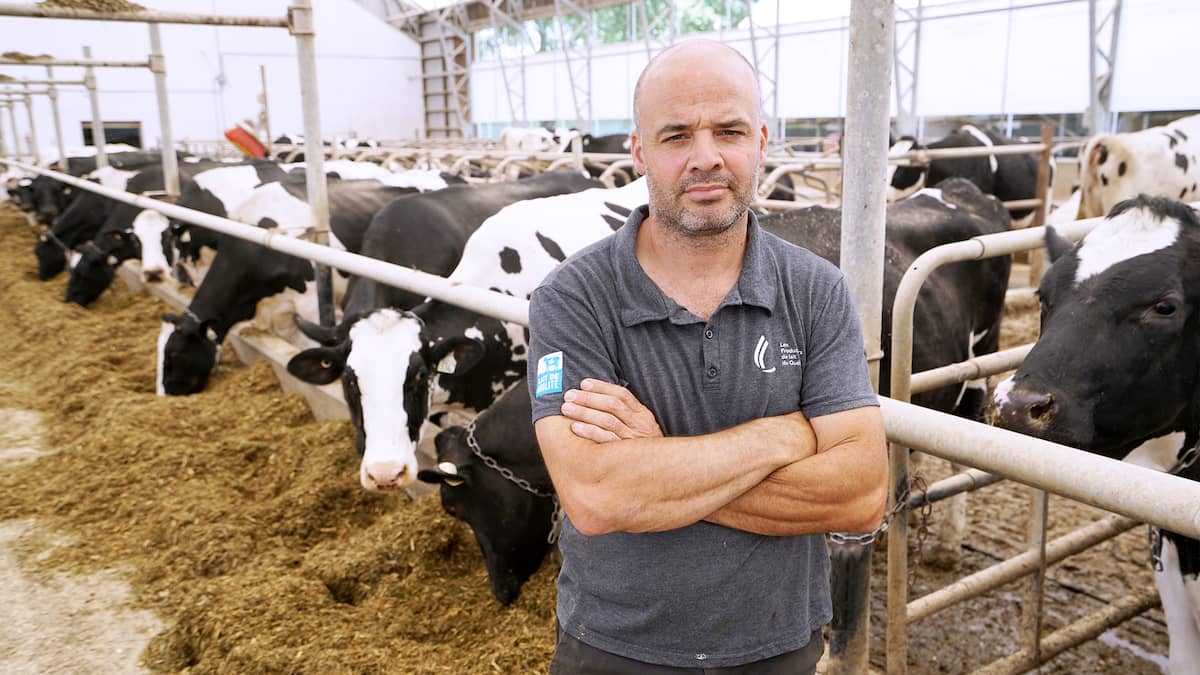 Grève chez Agropur: 2 millions de litres de lait jetés