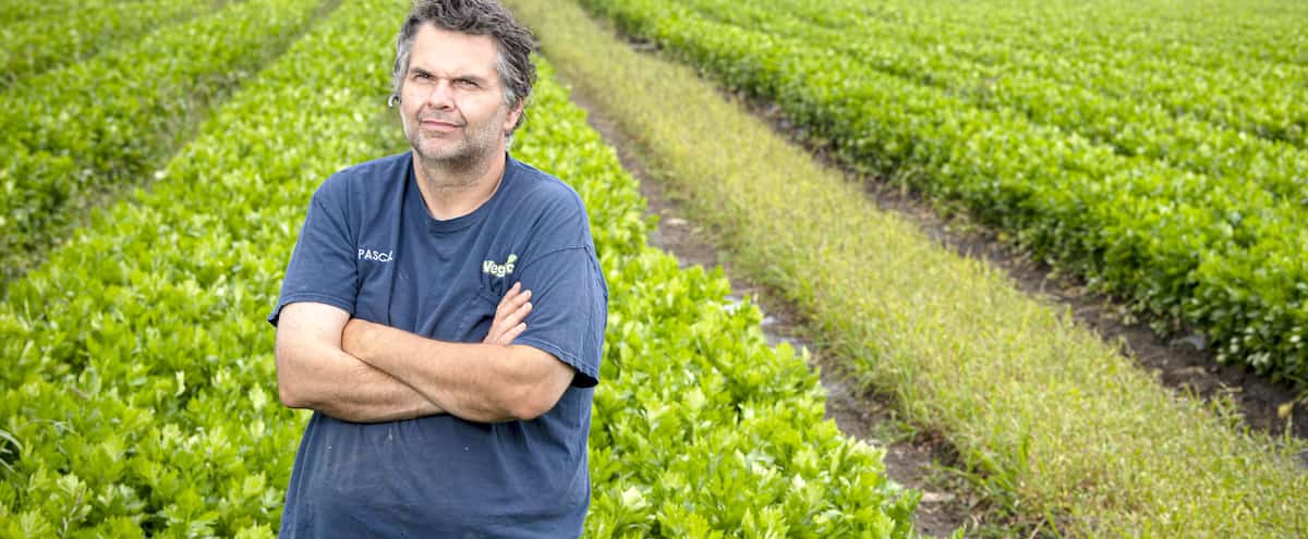 Cri du cœur d’un agriculteur
