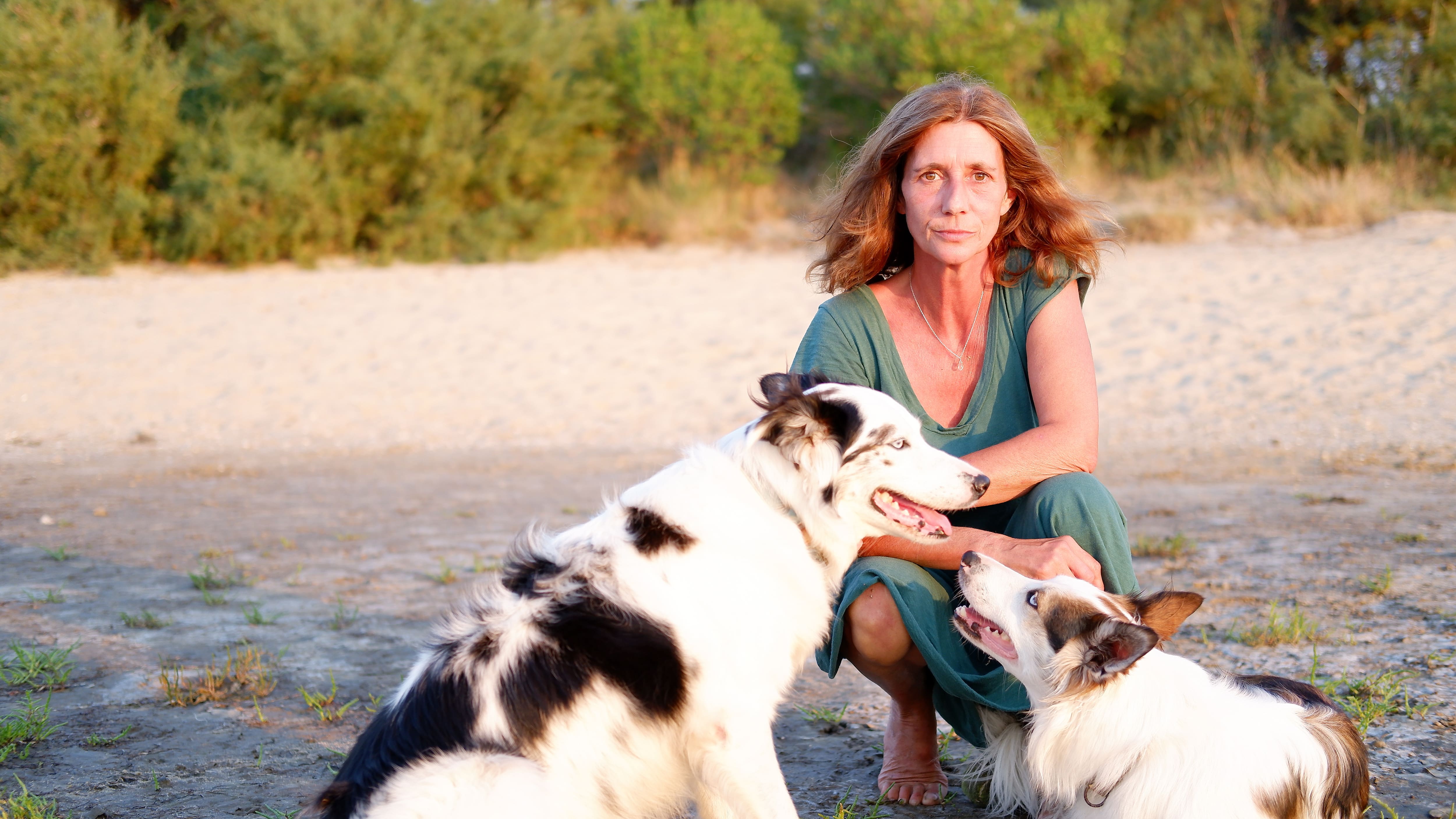 Vague de chaleur en Europe: des &eacute;vacu&eacute;s craignent que ce ne soit qu&rsquo;un d&eacute;but