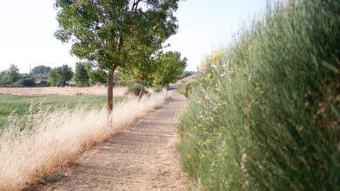 El método de la compostela