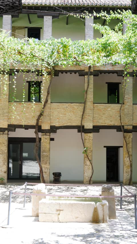 Pomegranate under the sun