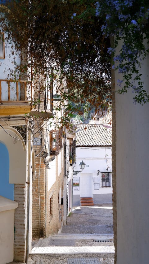 Pomegranate under the sun