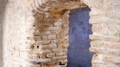 Pomegranate under the sun