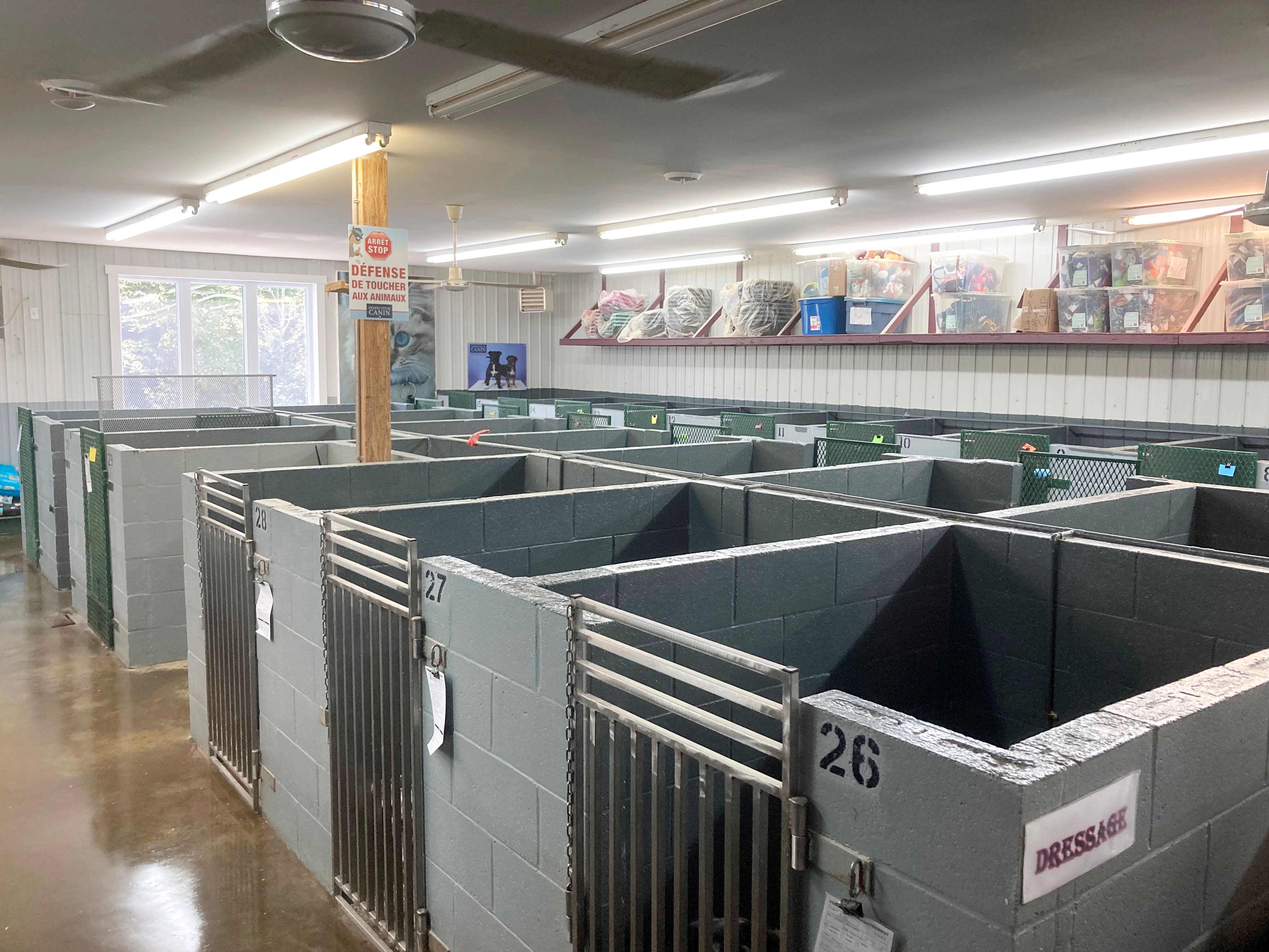 La SPA de SaintLinLaurentides se défend d'être une usine à chiots JDM