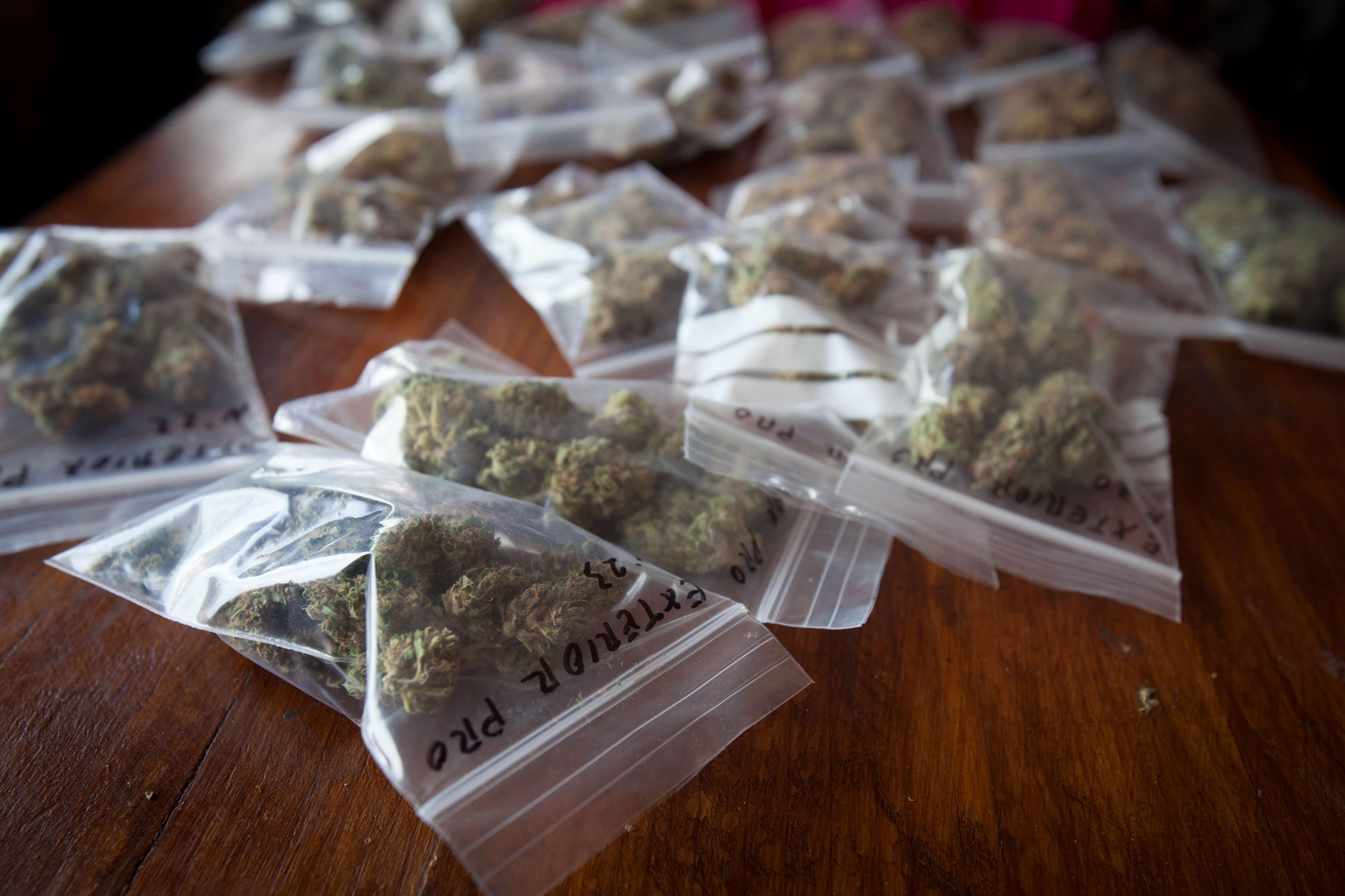 Il pleut du cannabis en Terre sainte