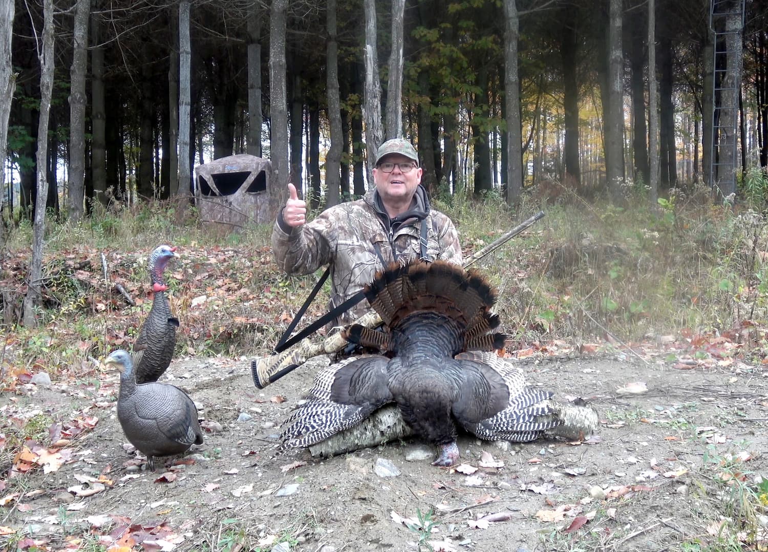 Chasser le dindon à l’automne, un défi intéressant | JDQ