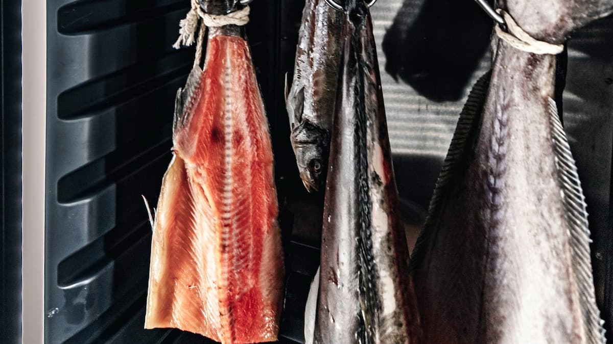 Poisson Sec Le poisson vieilli à sec, une nouvelle expérience à tenter | JDM