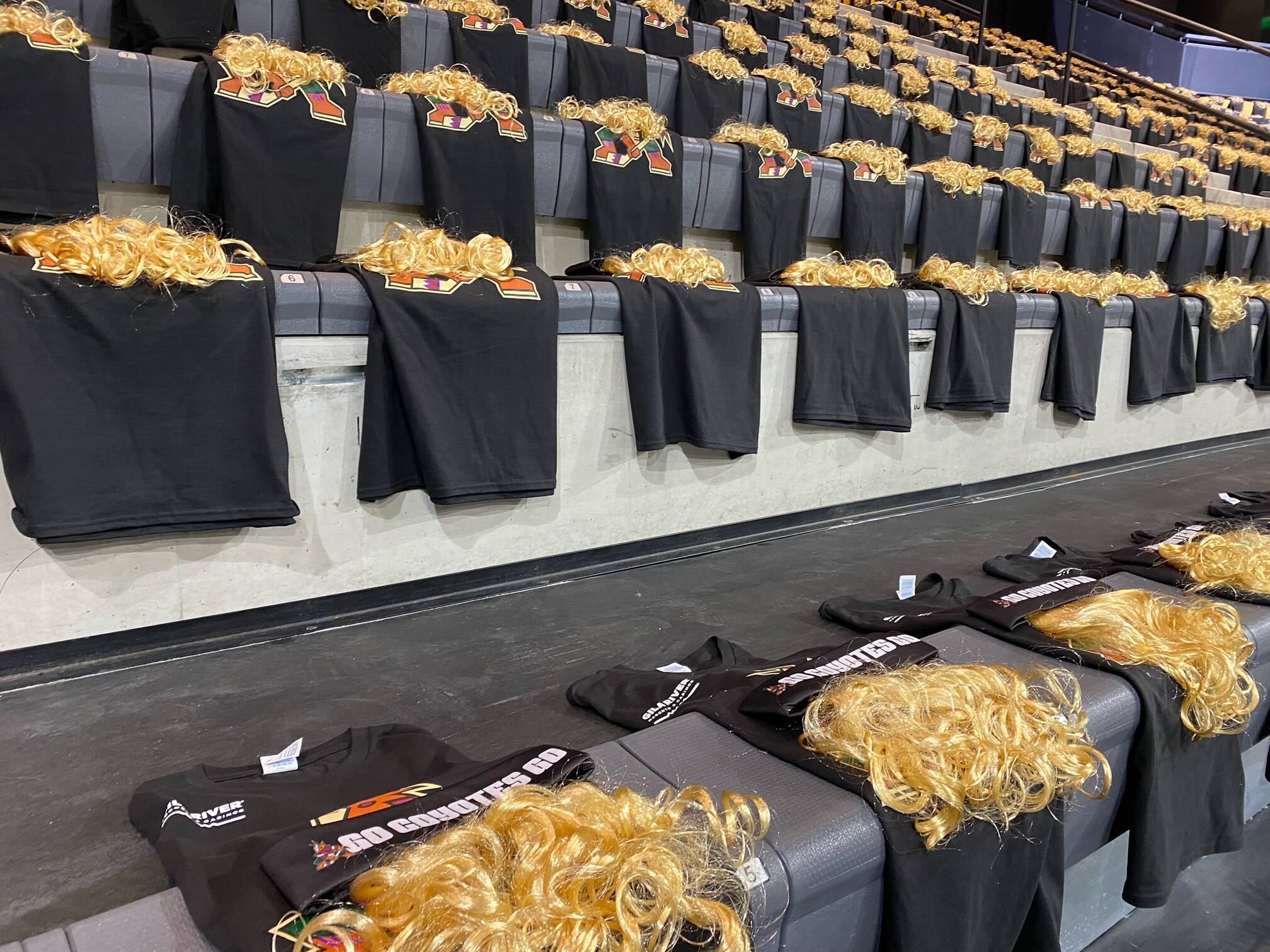 Premier match &agrave; domicile des Coyotes: un &laquo;mullet&raquo; pour chaque partisan