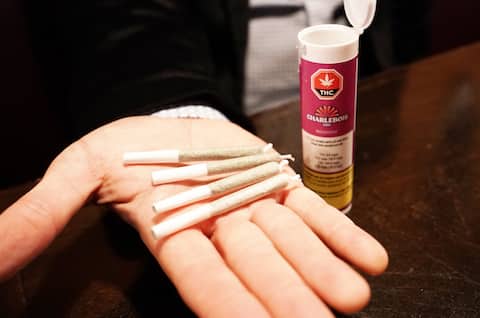 GEN-interview with Victor Charlebois to announce CBD oil under the name Charlebois at SQDC in Montreal.