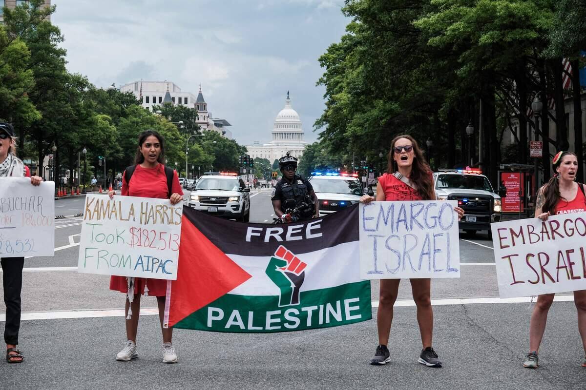 EN IMAGES | Des milliers de manifestants contre Netanyahu pr&egrave;s du Congr&egrave;s am&eacute;ricain