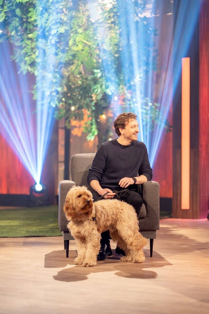 dimanche passe un bon chiot