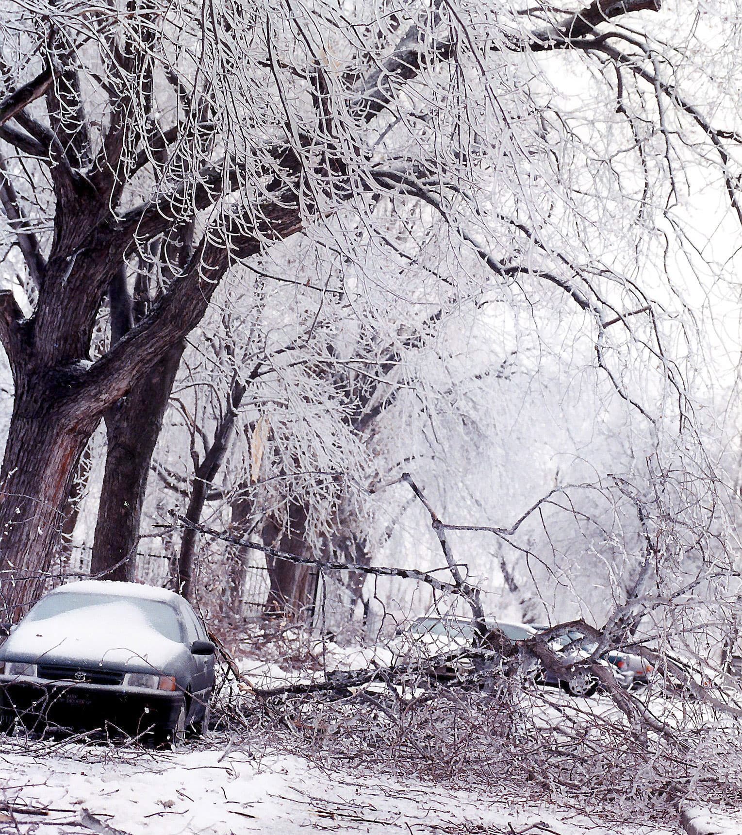 Écoles fermées, télétravail encouragé et routes sous surveillance: l’annonce d’une tempête de verglas met une bonne partie du Québec en alerte.