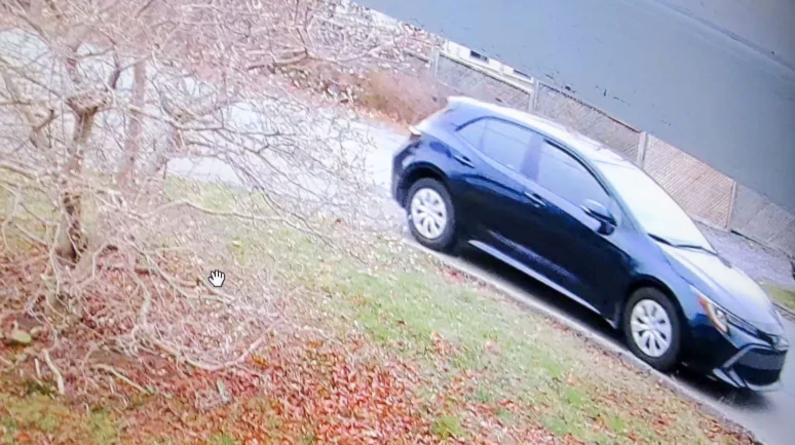 Omar Zanfi - Estafador