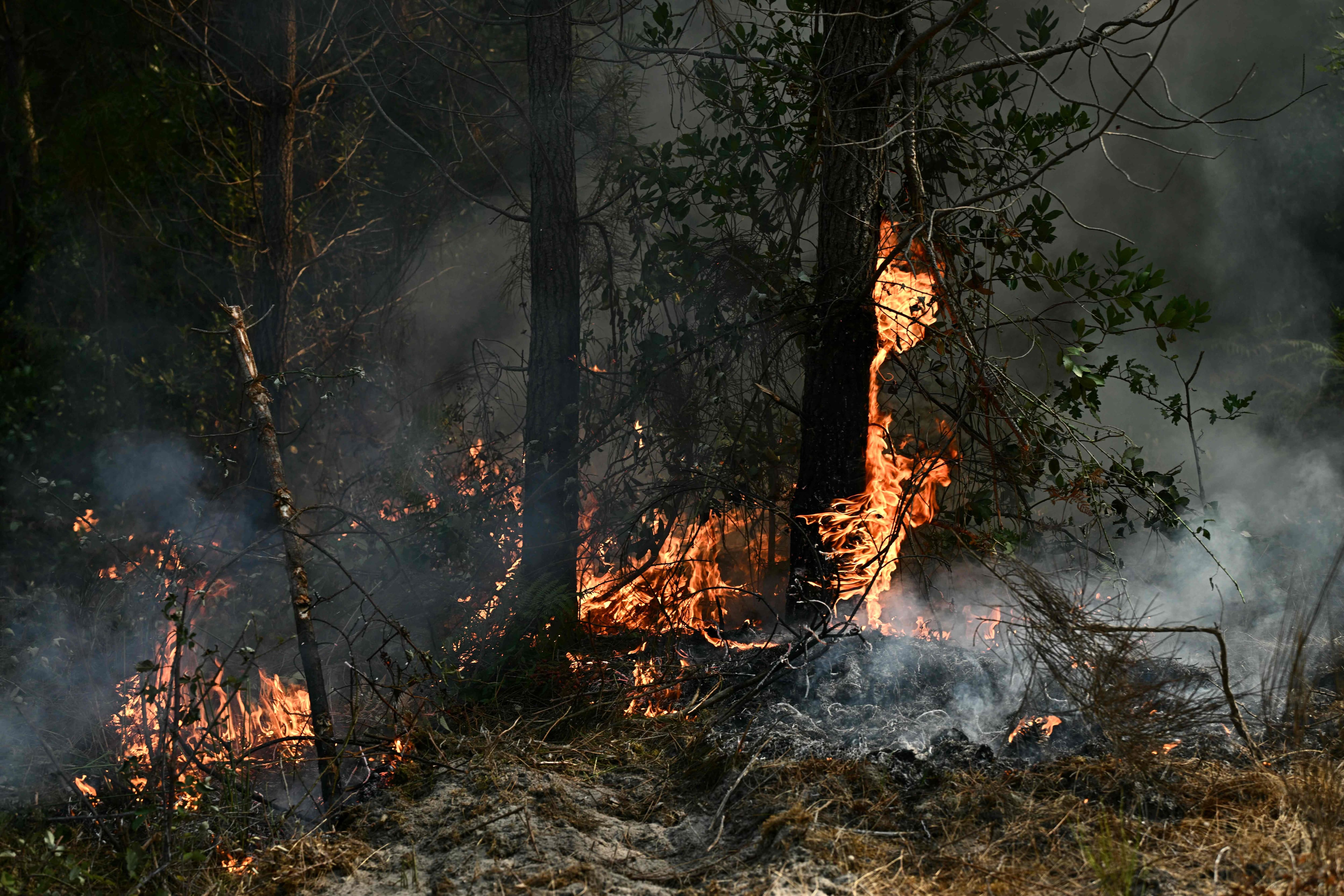 Les feux de forêt en France: il ne suffit pas de se plaindre du réchauffement climatique