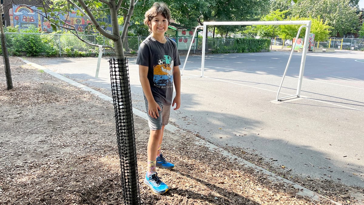 Un garçon de 10 ans a convaincu son école primaire d’embellir sa cour d’école et voici comment