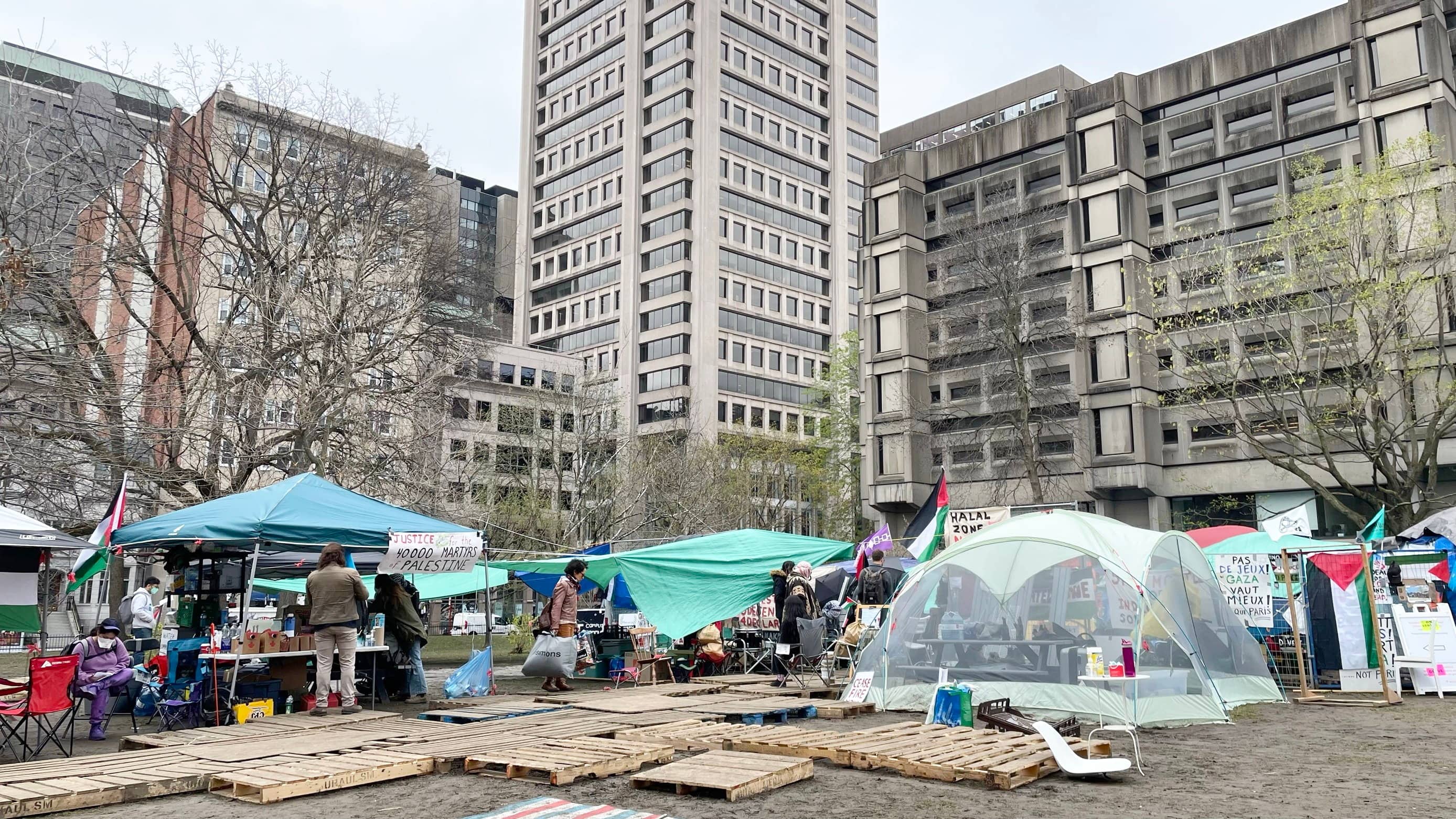 Campement propalestinien: la demande d'injonction de McGill est rejet&eacute;e