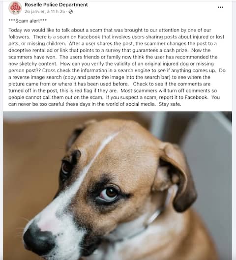 This other American police force also warned Internet users against false disappearances of pets.