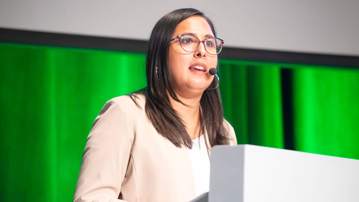 Tempête Debby: QS presse la CAQ de se sortir la tête du sable face aux changements climatiques