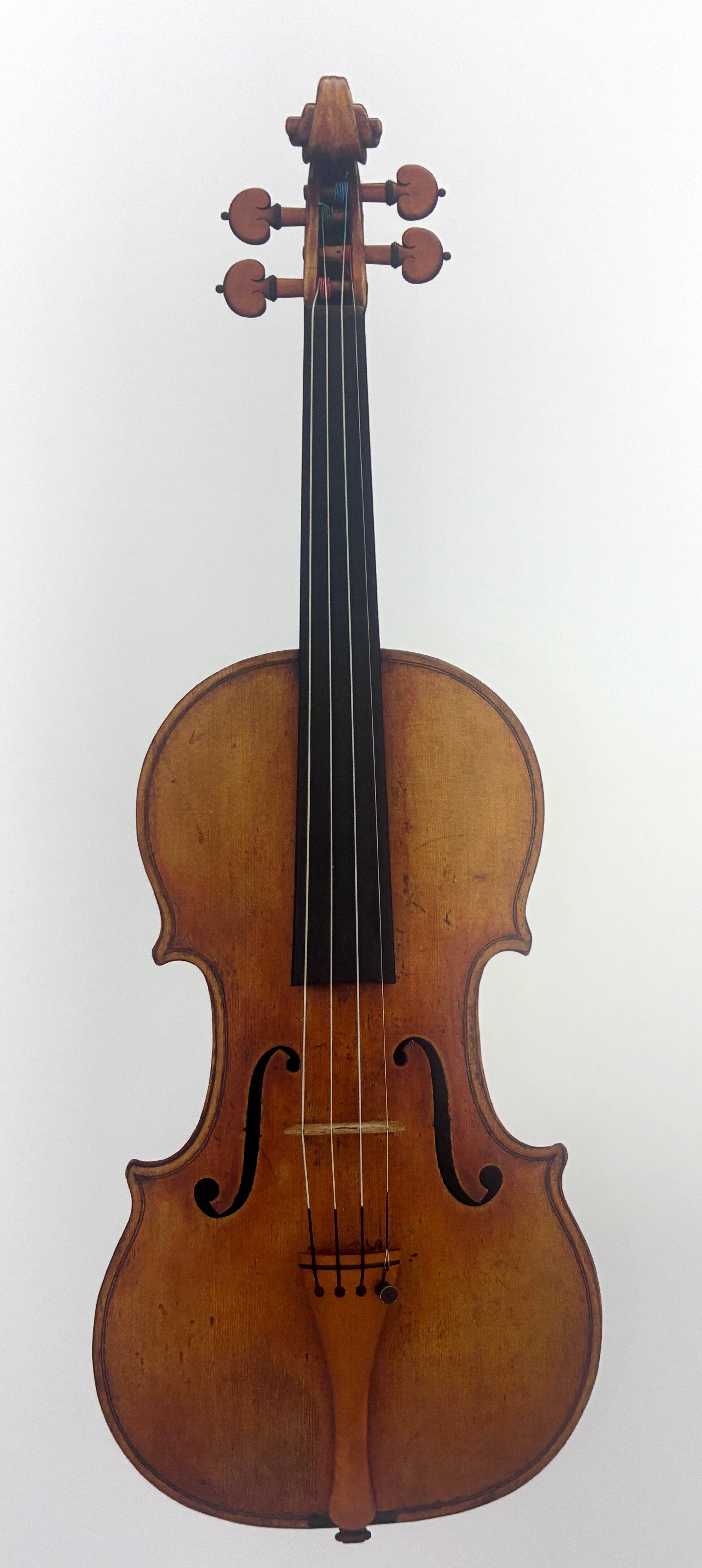 Une collection unique au monde de stradivarius se trouve à 
