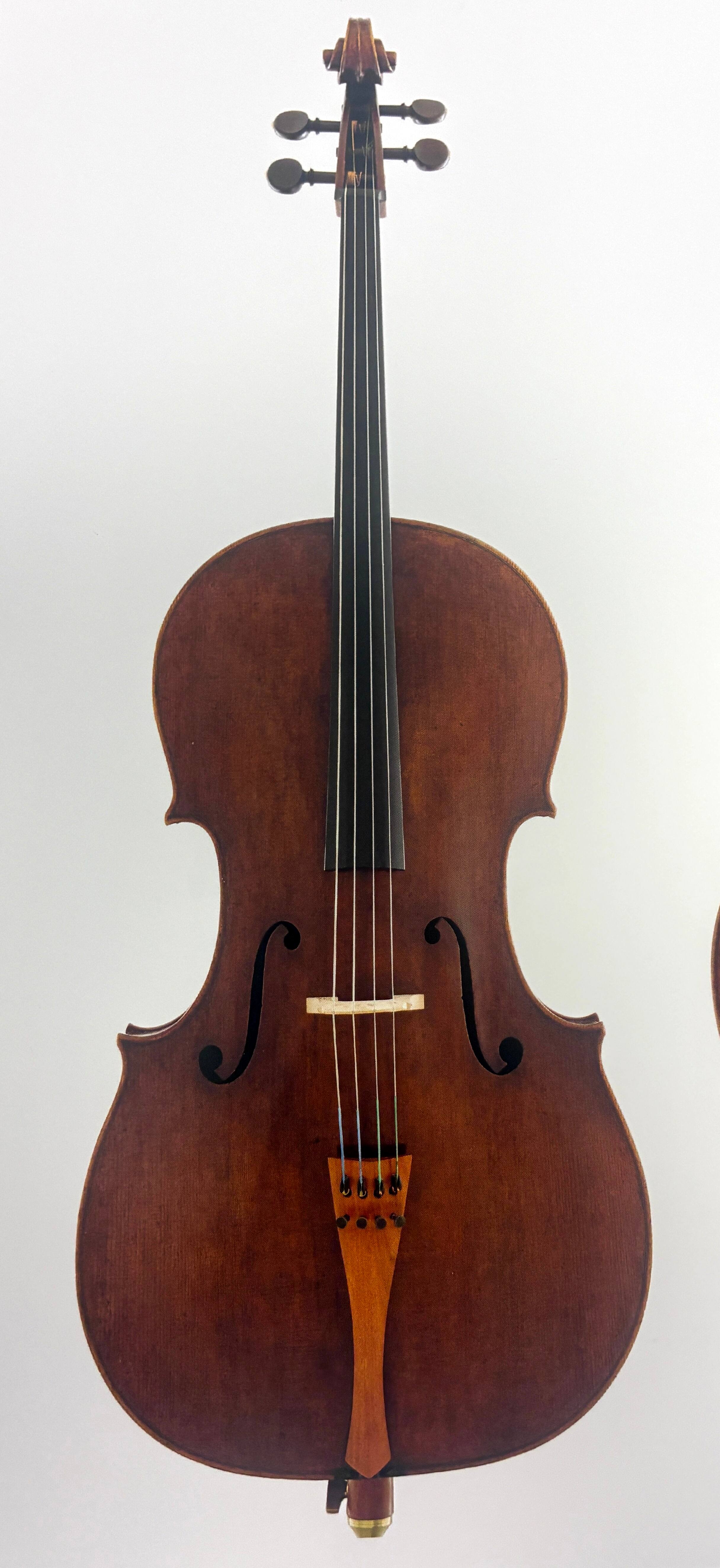 Une collection unique au monde de stradivarius se trouve à 