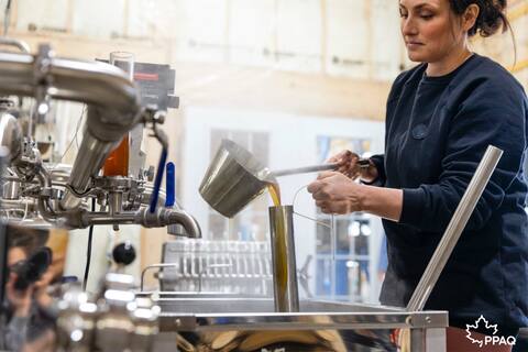 Saison du sirop d'érable