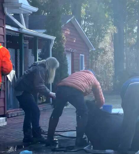 Rescued Horses (pool) A horse has emerged from a fall pond in Hemingford on Friday morning.