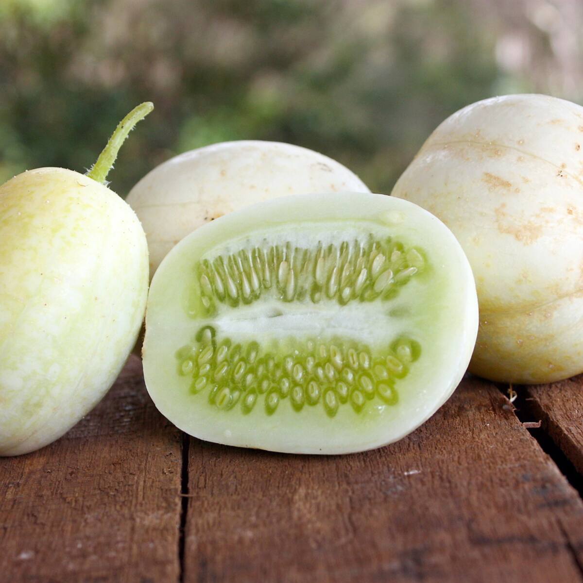 Sept variétés de concombres à découvrir cet été | JDM