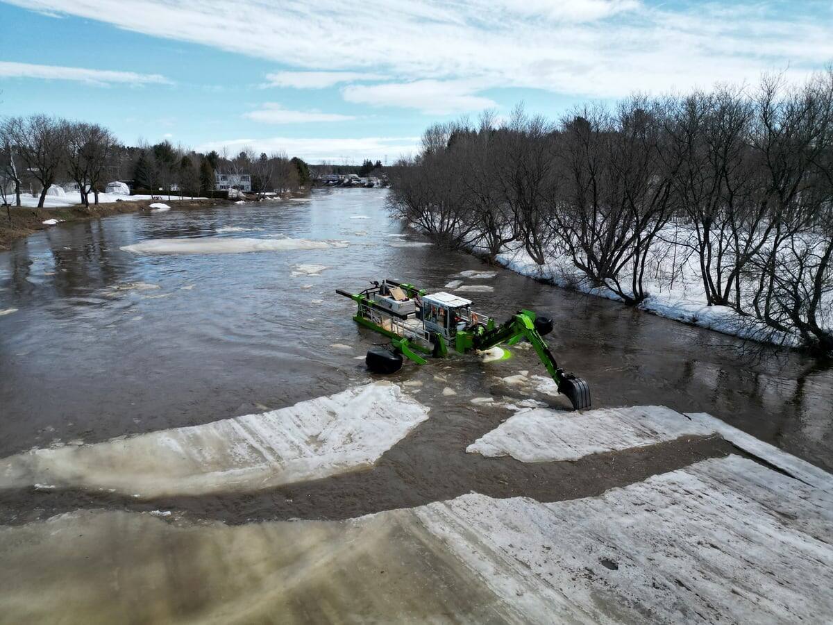 Lévis la «grenouille» veille sur la rivière Beaurivage JDQ
