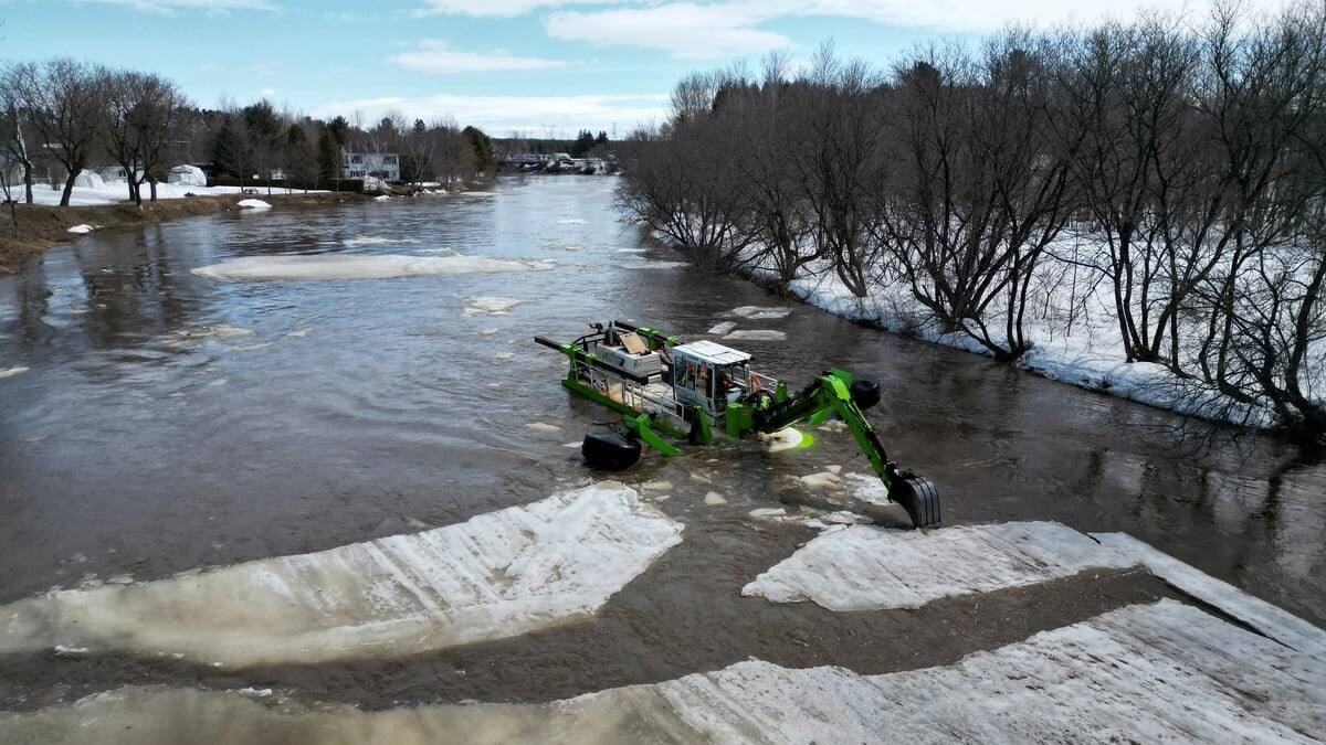 Lévis la «grenouille» veille sur la rivière Beaurivage JDQ