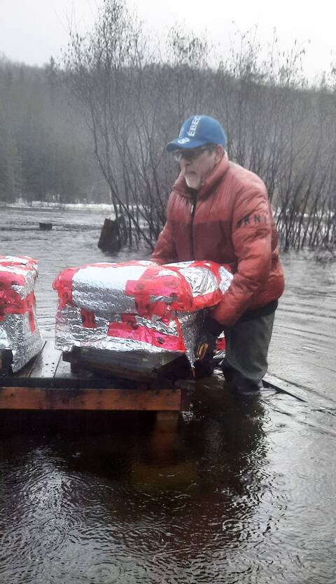 Caroline Sneep's partner, Allan Wingfield, quickly moved the five hives to save them from the rising waters.