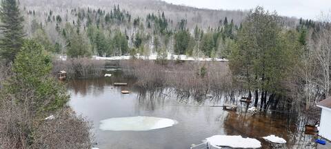 Mrs. Sneep's land, where five of her hives were, is completely under water.