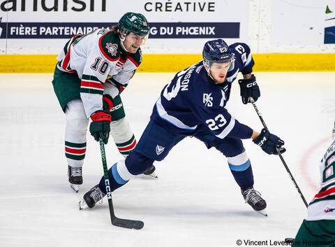 QMJHL Series: The Remparts will face the Mooseheads in the final