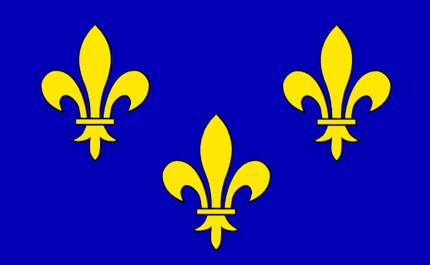 La fleur de lys, le symbole de toute une nation | JDM